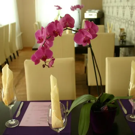 Homestay Art